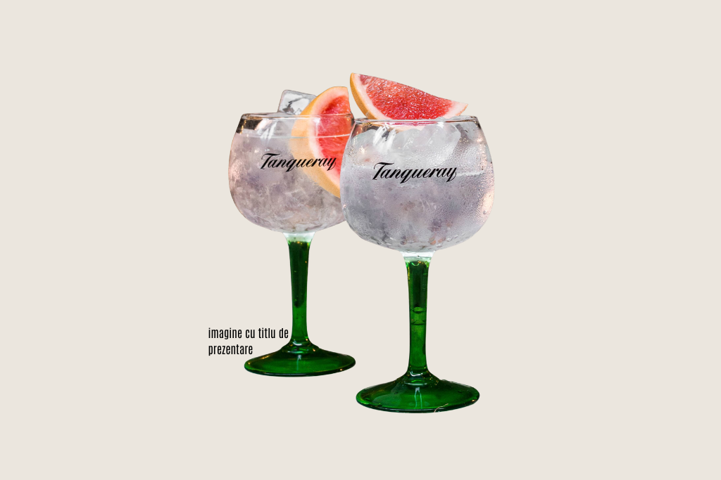 Tanqueray Gin Tonic